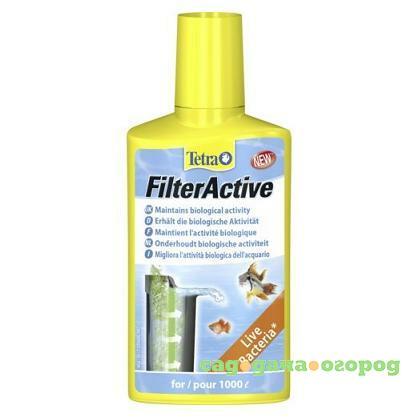 Фото Filter Active