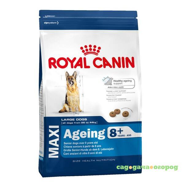 Фото Royal Canin Maxi Ageing 8+