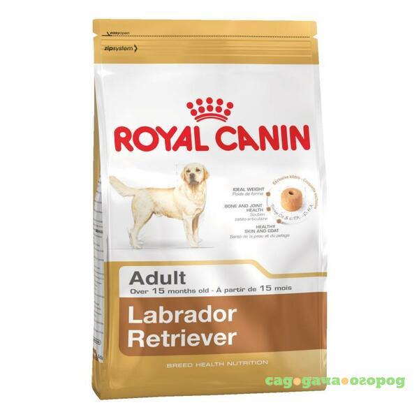 Фото Royal Canin Labrador Retriever