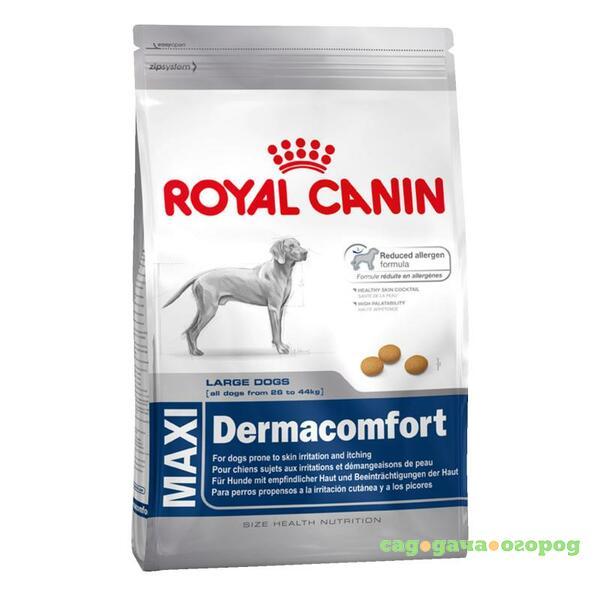 Фото Royal Canin Maxi Dermacomfort