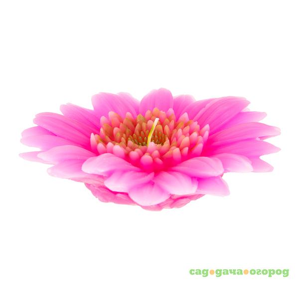 Фото Свеча Edg gerbera 4х15см розовая