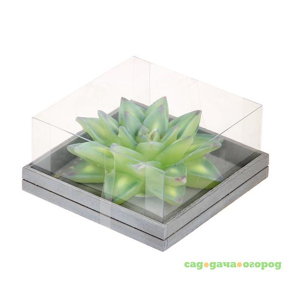 Фото Свеча Edg echeveria 7х14см