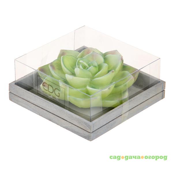 Фото Свеча Edg succulent 5х13см