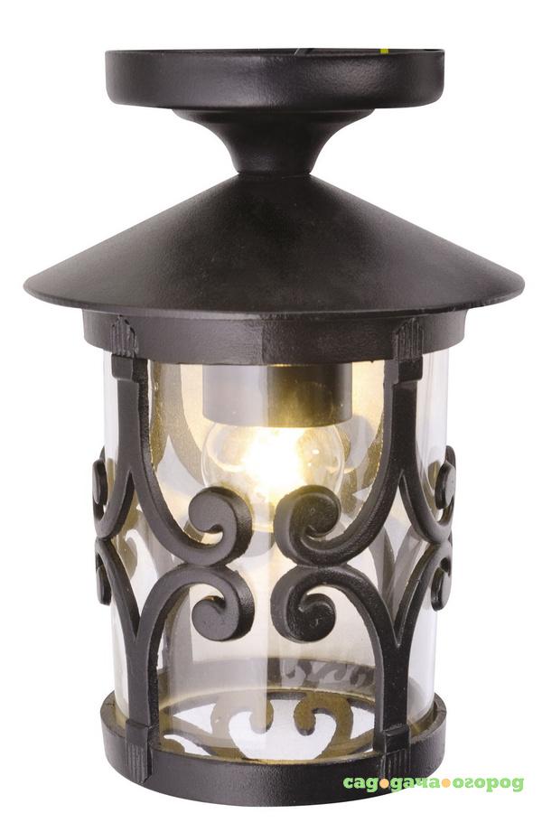 Фото Уличный потолочный светильник Arte Lamp Persia A1453PF-1BK