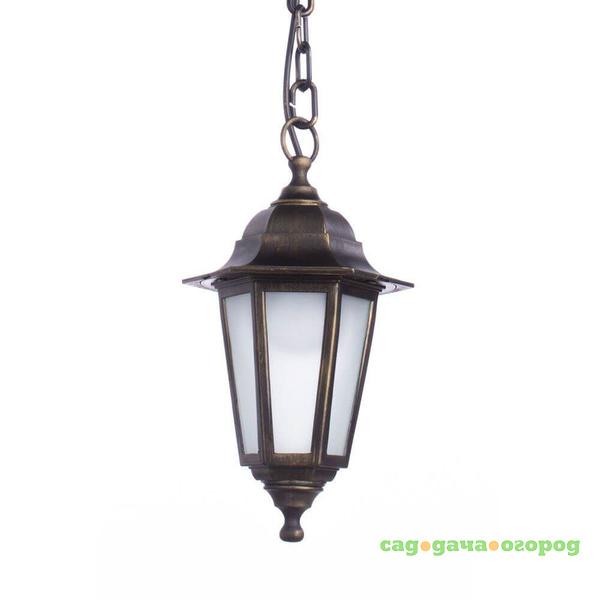 Фото Уличный подвесной светильник Arte Lamp Zagreb A1217SO-1BR