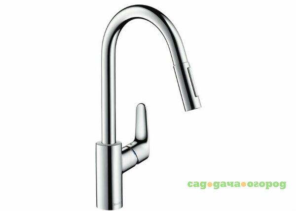 Фото Смеситель для кухни Hansgrohe Focus 31815000