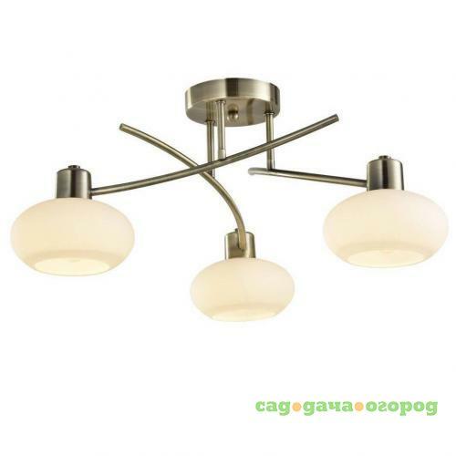 Фото Потолочная люстра Arte Lamp 97 A7556PL-3AB