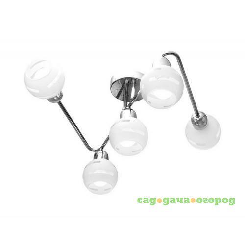 Фото Потолочная люстра IDLamp Agostina 361/5A-Whitechrome