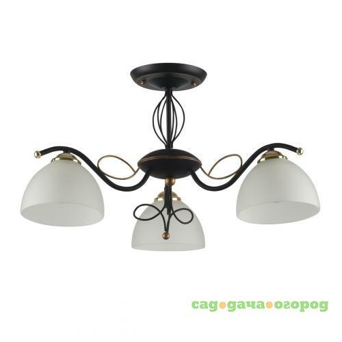 Фото Потолочная люстра IDLamp Ragia 554/3PF-Blackpatina