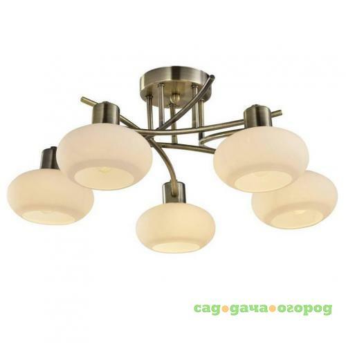 Фото Потолочная люстра Arte Lamp 97 A7556PL-5AB