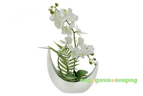 Фото Декоративный цветок Dream Garden, Орхидея белая, 40*20*42 см, в керамической вазе