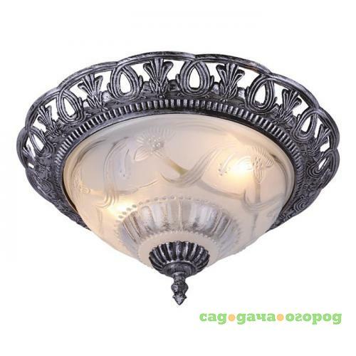 Фото Потолочный светильник Arte Lamp Piatti A8001PL-2SB