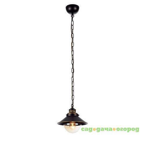 Фото Подвесной светильник Arte Lamp Grazioso A4577SP-1CK