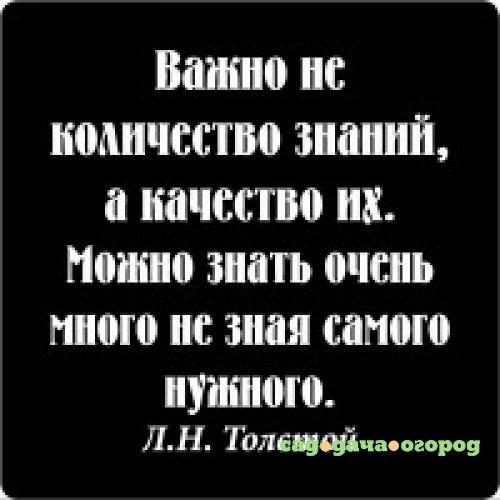 Фото Магнит ЭВРИКА, Цитата великих людей, Важно не количество знаний, 5,5*5,5 см