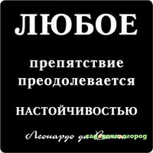 Фото Магнит ЭВРИКА, Цитата великих людей, Любое препятствие преодолевается настойчивостью, 5,5*5,5 см