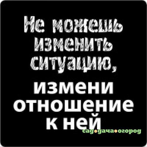 Фото Магнит ЭВРИКА, Цитата великих людей, Не можешь изменить ситуацию, 5,5*5,5 см