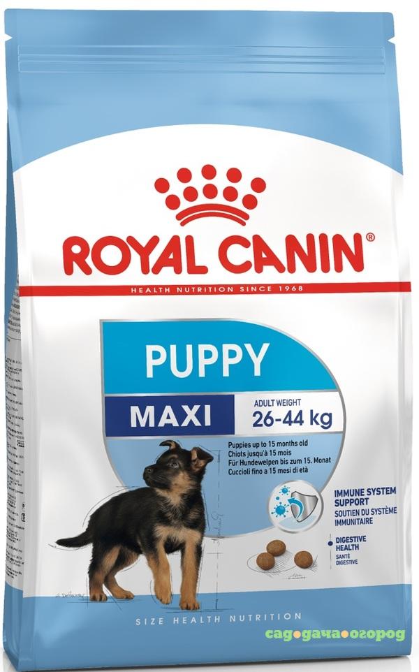 Фото Royal Canin Maxi Puppy