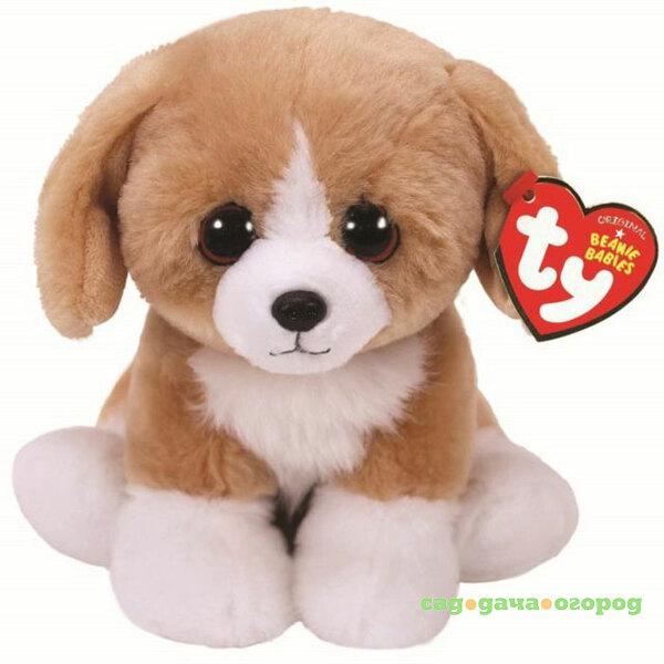 Фото Игрушка TY Beanie Boo's Собачка Franklin 15 см