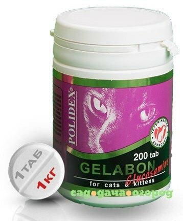 Фото Polidex Gelabon plus Glucozamine