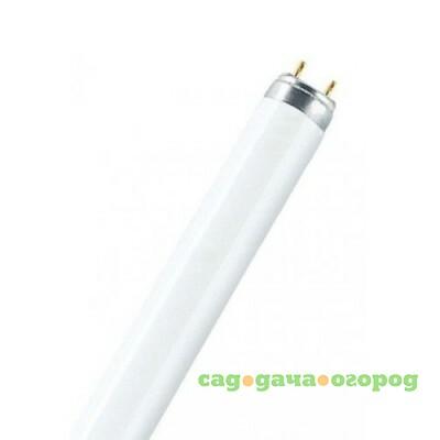 Фото Лампа OSRAM L58W/830 PLUS ECO G13 D26mm 1500mm (теплый белый 3000 К) 582706