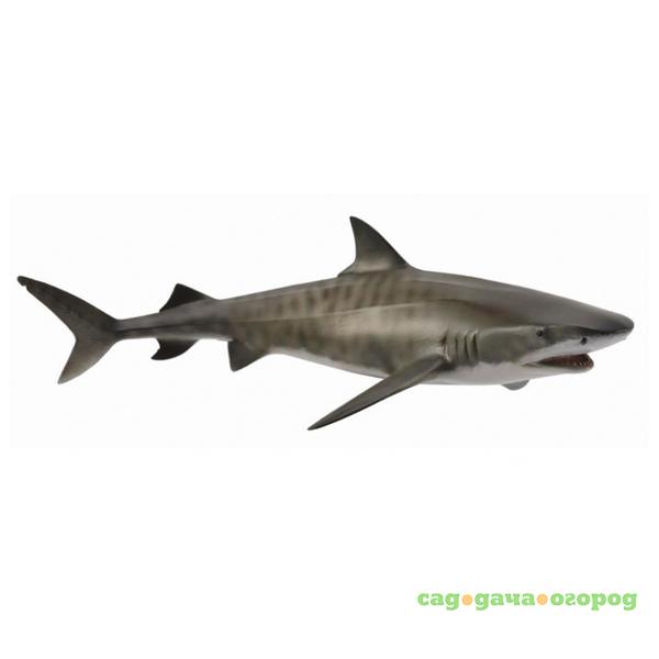Фото Тигровая акула 17 см