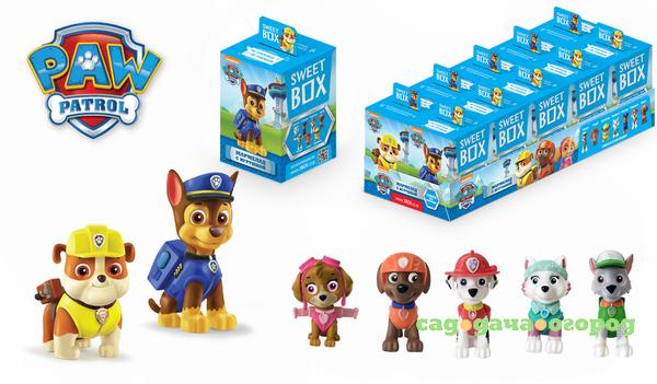 Фото Paw Patrol 10 г