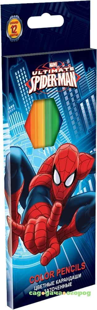 Фото Spider-man 12 шт