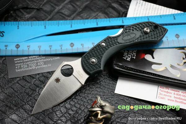 Фото Нож Spyderco Dragonfly 2 Green C28PGRE2