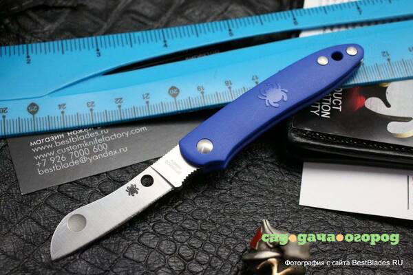 Фото Нож Spyderco Roadie Blue FRN 189PBL