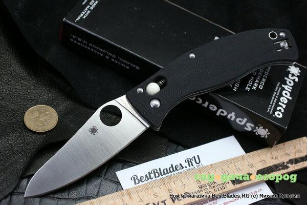 Фото Нож складной Spyderco D’Allara 3 C82GP3