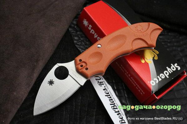 Фото Нож складной Spyderco Meerkat Sprint Run Orange 64JPBORE