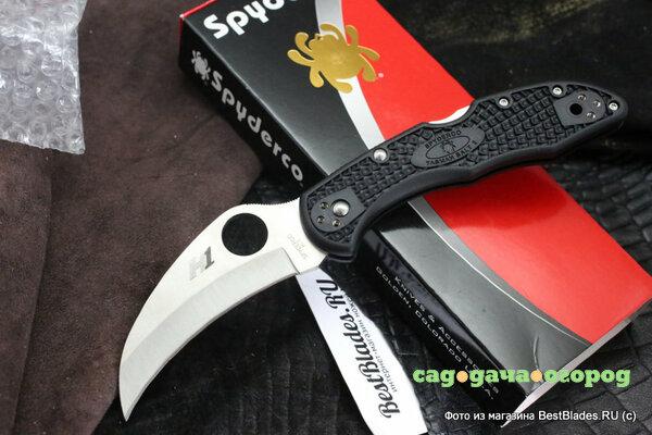 Фото Нож складной Spyderco Tasman Salt 2 106PBK2