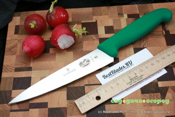 Фото Нож Victorinox для разделки 5.2004.15