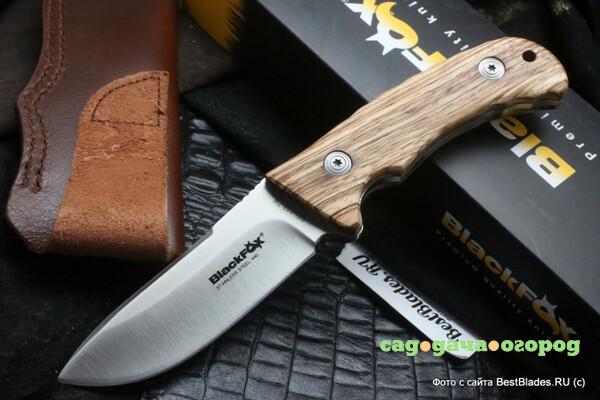 Фото Нож с фиксированным клинком Blackfox Hunter 132 Zebra Wood BF-132 ZW