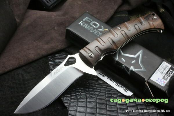 Фото Нож складной Fox Knives Citadel Deimos FX-0110 W