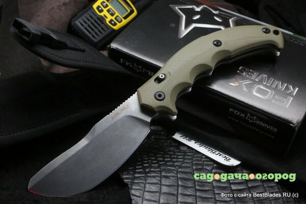 Фото Нож складной Fox Knives Aruru FX-506 OD