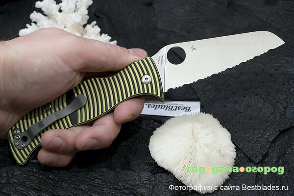 Фото Нож складной Spyderco Caribbean C217GSSF