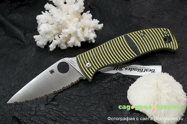 Фото Нож складной Spyderco Caribbean C217GS