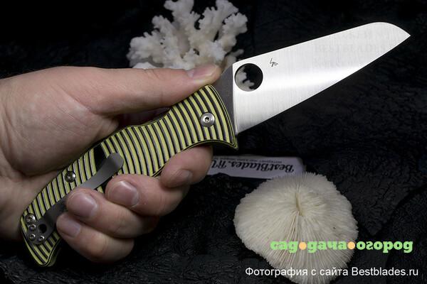 Фото Нож складной Spyderco Caribbean C217GPSF