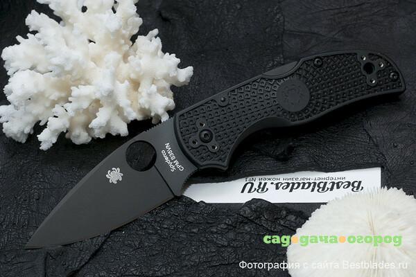 Фото Нож складной Spyderco Native C41PBBK5