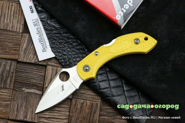 Фото Складной нож Spyderco Dragonfly 2 C28PYL2