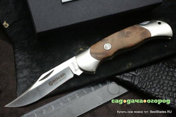 Фото Нож Boker 113002TH Optima Thuja