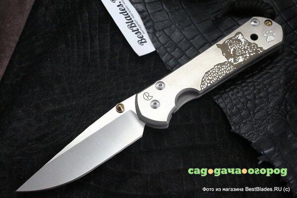 Фото Нож складной Chris Reeve Large Sebenza 21 Leopard ChR/L21CGG