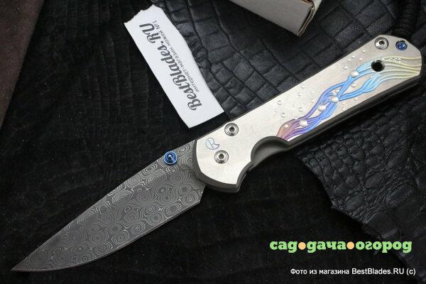 Фото Нож складной Chris Reeve Large Sebenza 21 Unique Seagrass Graphics Raindrop Damascus ChR/SSEDAMSL