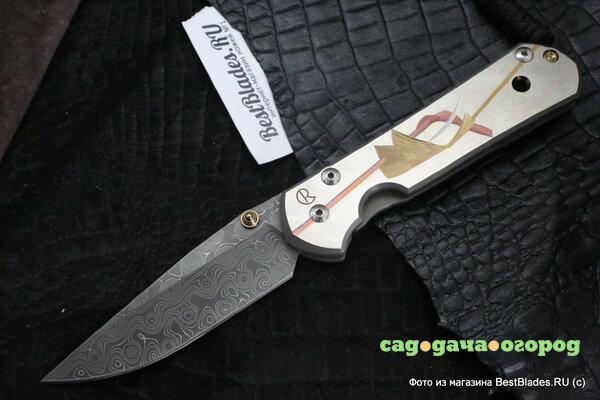 Фото Нож складной Chris Reeve Large Sebenza 21 Unique Graphics D.Thomas Raindrop Damascus ChR/L21UNdRain