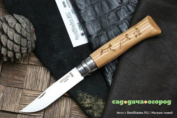 Фото Нож складной Opinel №8 VRI Animalia Chamois (серна)