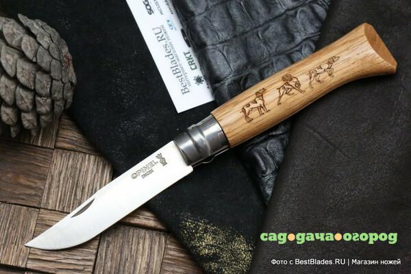 Фото Нож Opinel 8 Animalia Dog орнамент собака рукоять дуб