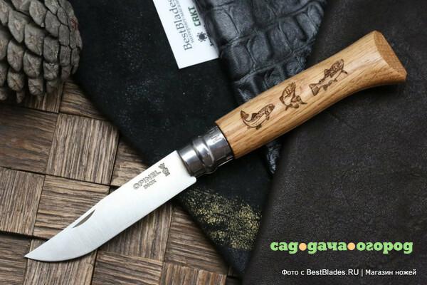 Фото Нож Opinel 8 Animalia Trout орнамент форель, рукоять дуб