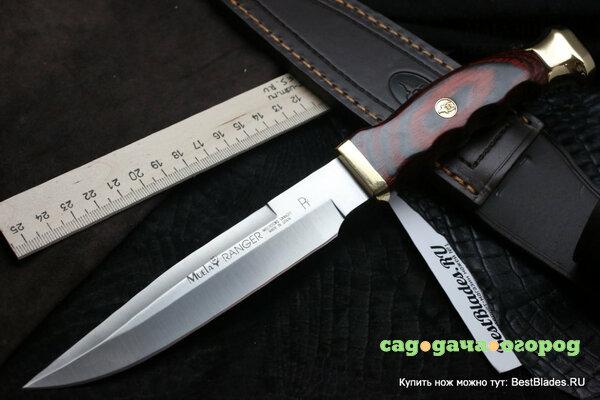 Фото Нескладной нож Ranger, Pakka Wood Handles 140 мм. U/RANGER-14RR (Muela)