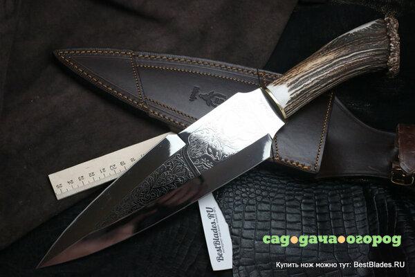 Фото Нож с фиксированным клинком Muela Duque Stag Handle DUQUE-25AFR